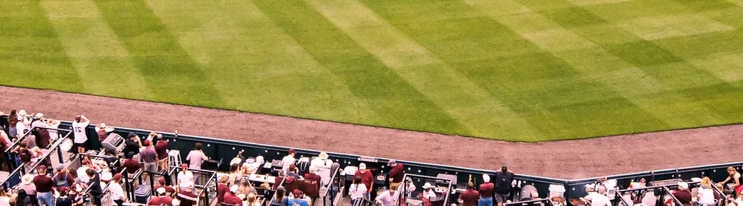 Mississippi State Bulldogs Baseball