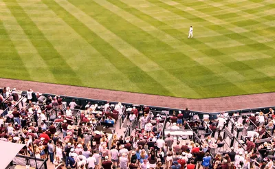 Mississippi State Bulldogs Baseball
